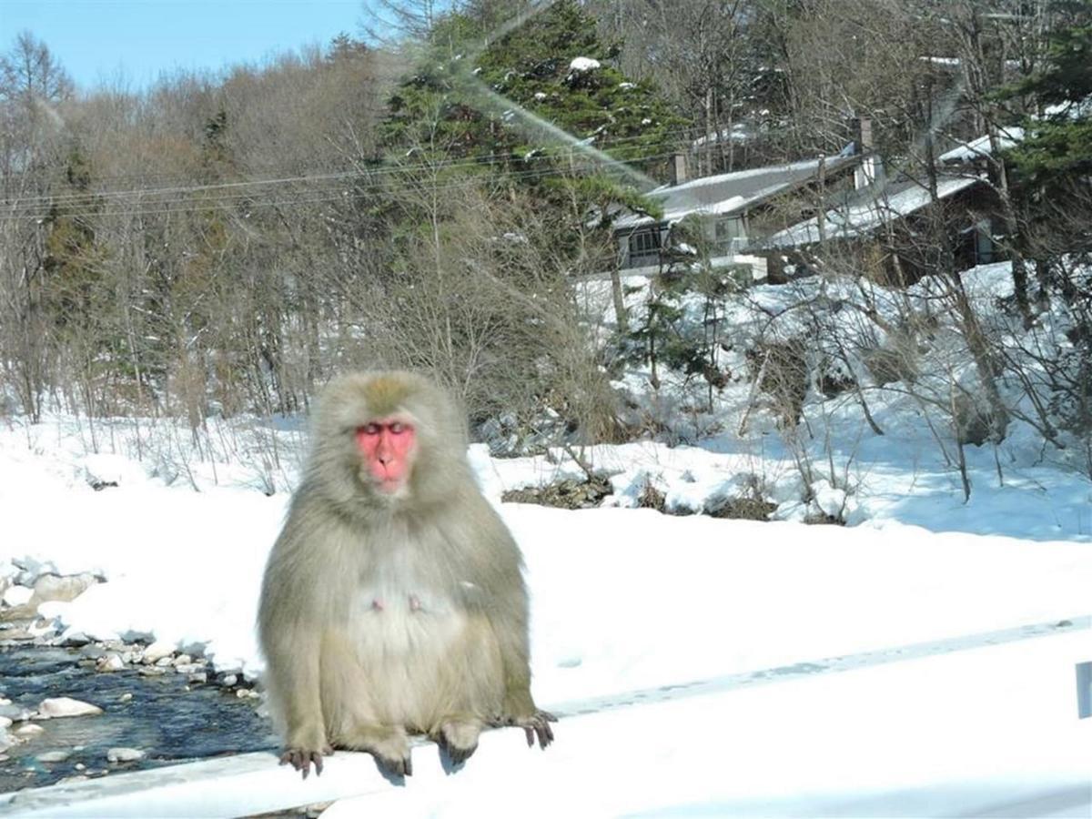 Momiji Guesthouse Cottages - Alpine Route 大町市 エクステリア 写真
